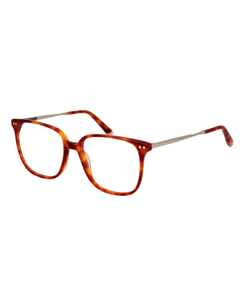 Taylor Morris Optische Fassungen TM08 C2 53 Orange