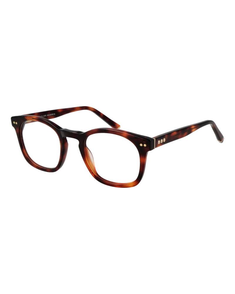 Taylor Morris Brillenfassung W8 C3 49 Braun