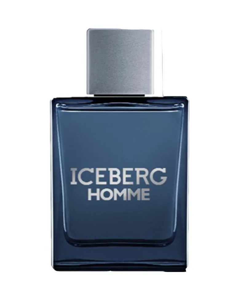 Iceberg Homme Edt Vapo 100 ml 