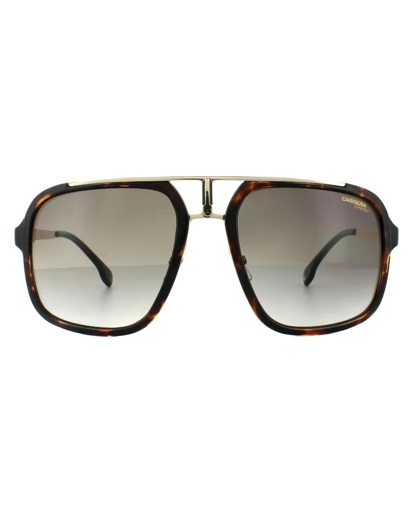 Carrera Square Unisex Havanna Gold Braun Gradient Sonnenbrille Braun
