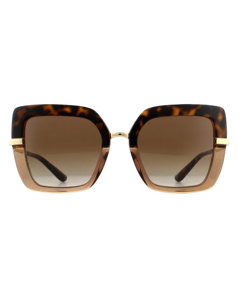 Dolce & Gabbana Sonnenbrille DG4373 325613 Top Havanna auf Transparent Braun Braun Gradient Braun