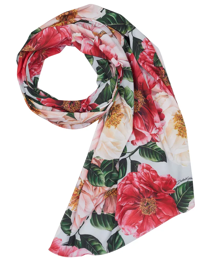Dolce & Gabbana Schal Braun