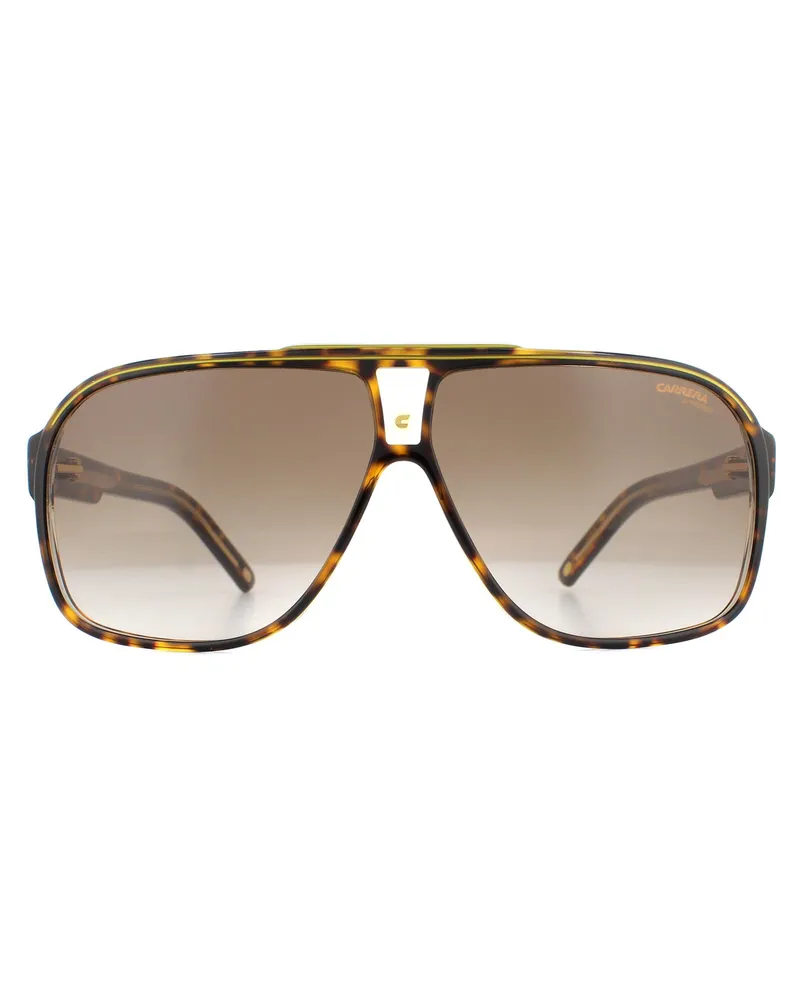 Carrera Aviator Herren Havanna Braun Gradient Sonnenbrille Braun