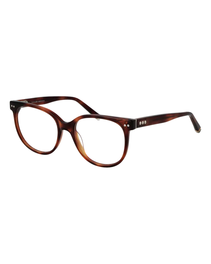Taylor Morris Brillenfassung W7 C2 51 Braun