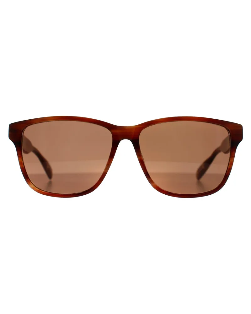 Ted Baker TB8232 151 braun Horn braun Sonnenbrille Braun