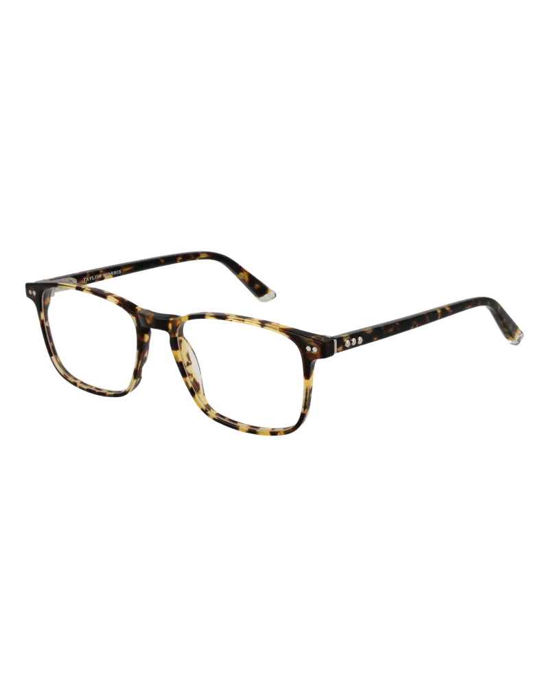 Taylor Morris Brillenfassung SW16 C10 52 Braun