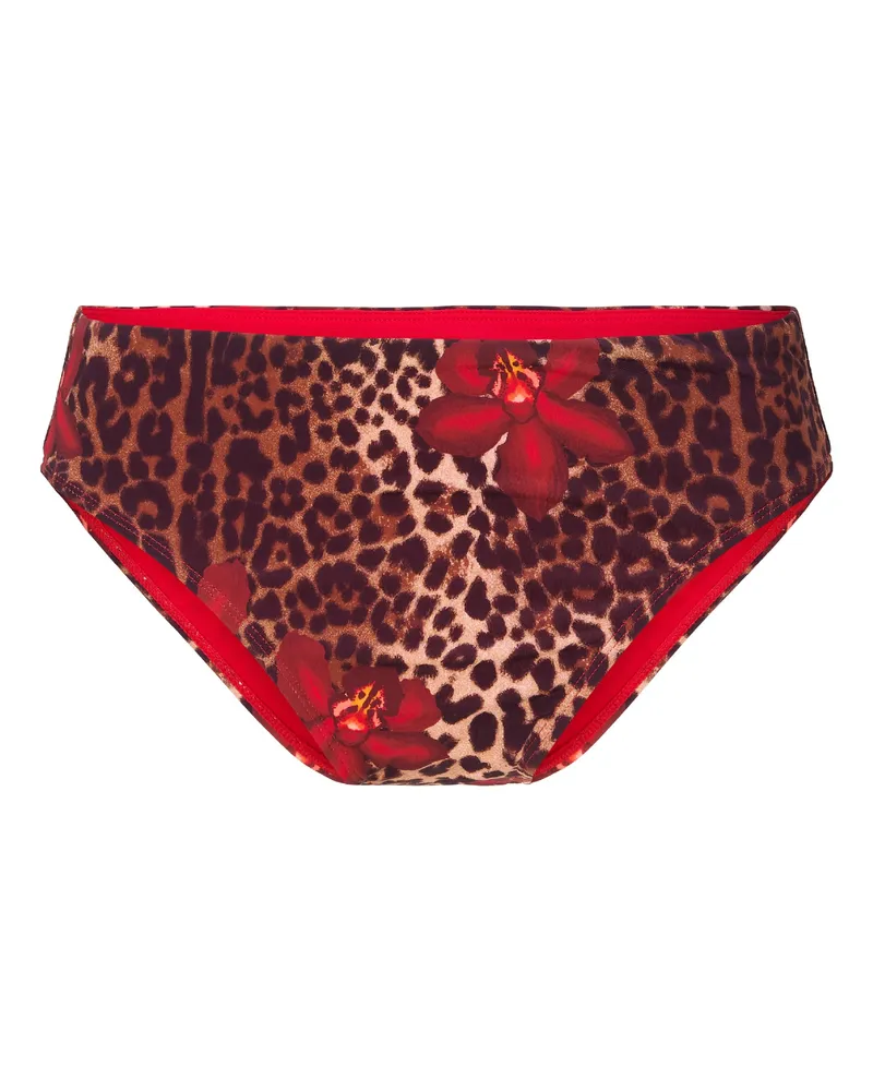 LingaDore Bikini Slip Mehrfarbig