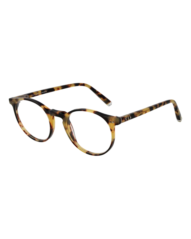 Taylor Morris Brillenfassung SW17 C3 48 Gelb