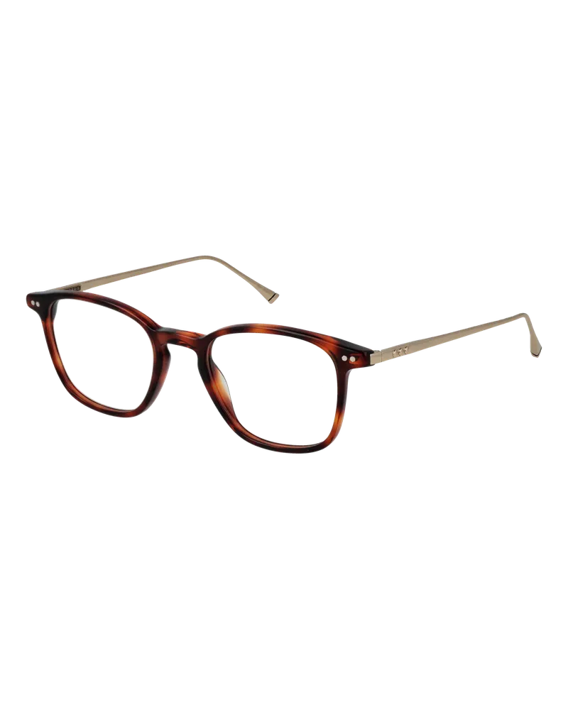 Taylor Morris Brillenfassung W9 C2 48 Braun