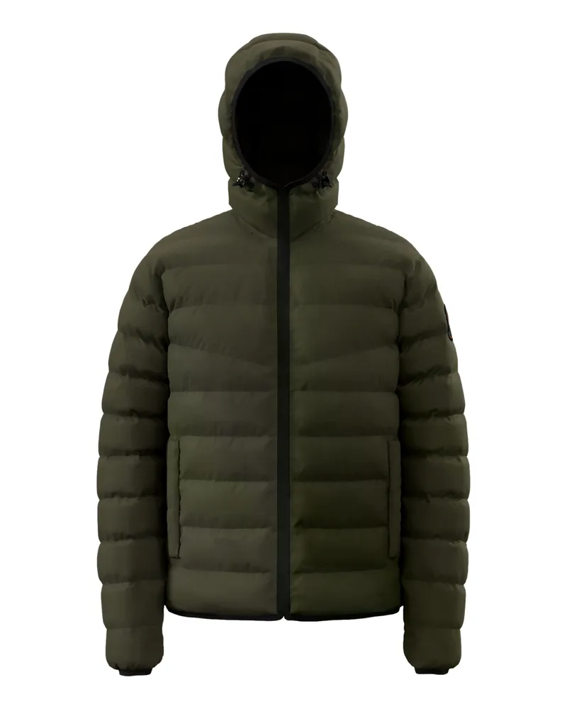 Napapijri Jacke Oliv
