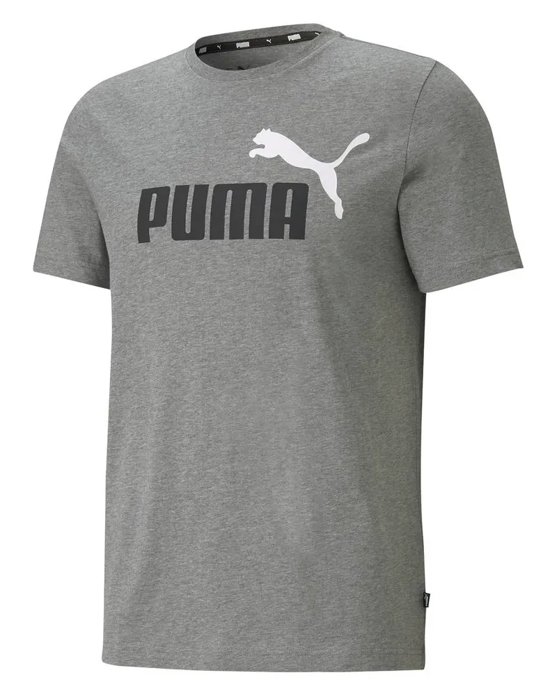 Puma Ess  Col Logo Tee T-Shirt Grau