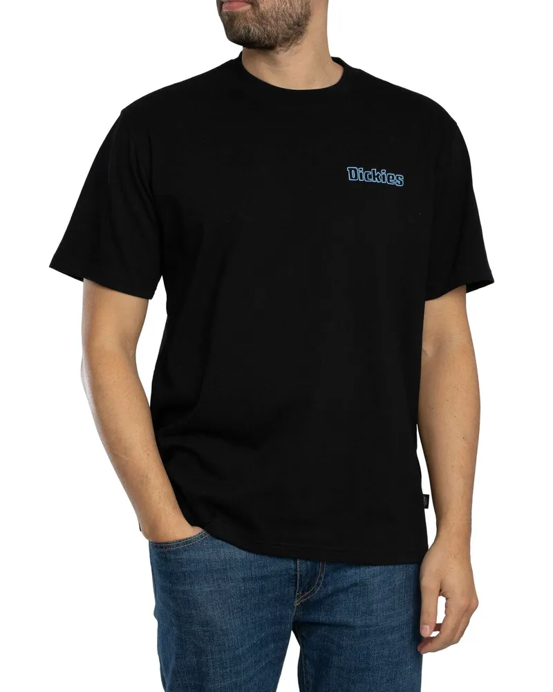 Dickies Fairland Rückengrafik-T-Shirt, Schwarz Schwarz