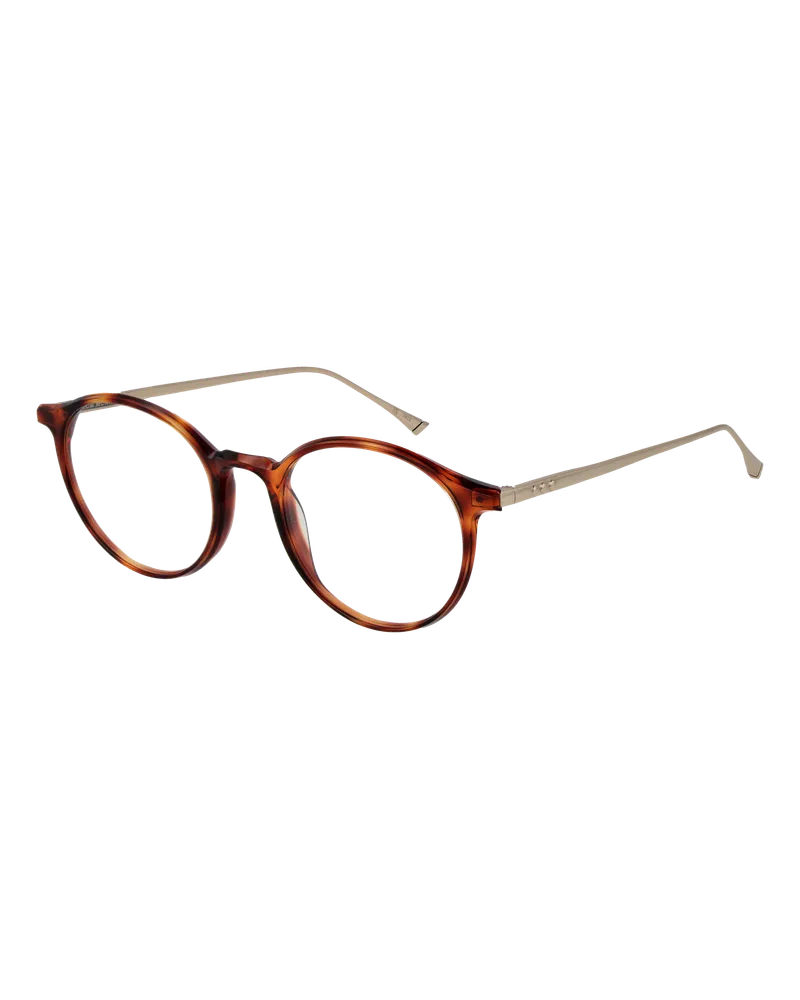Taylor Morris Brillenfassung SW4 C5 49 - Braun Braun