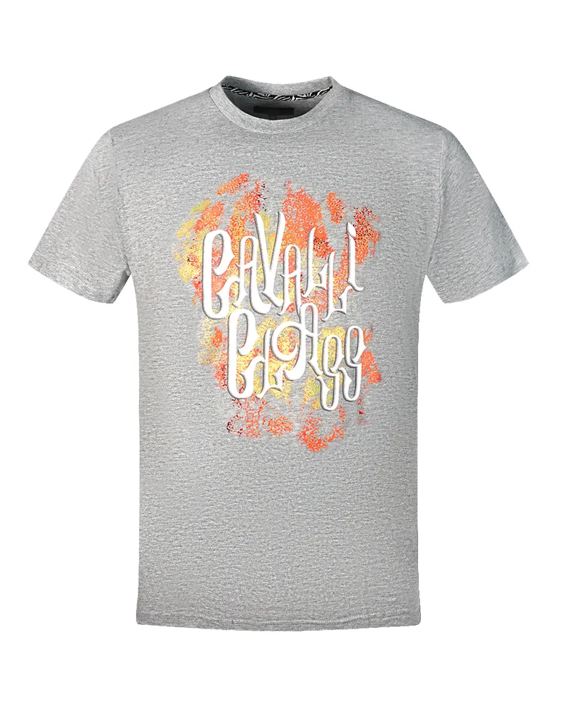 Roberto Cavalli Kühnes Logo Graues T-Shirt Grau