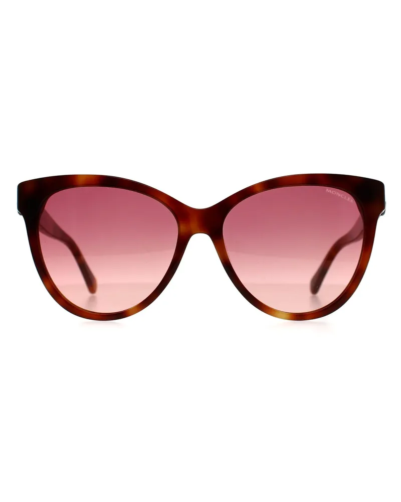 Moncler ML0283 52T havanna bordeaux Farbverlauf Sonnenbrille Braun