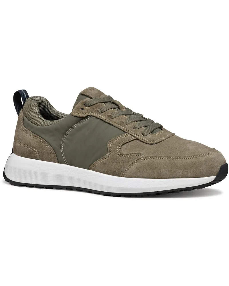 Geox U VOLPIANO Leder Herren Sneaker in Salbeigrün Grün
