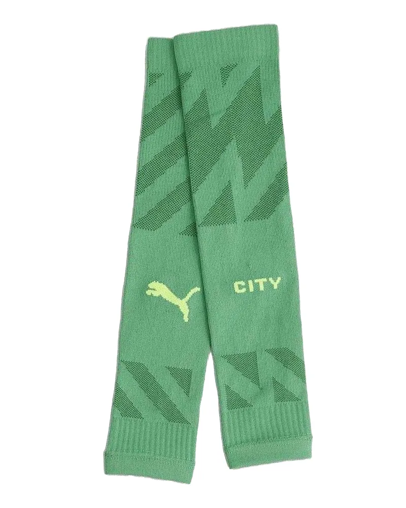 Puma Torwart Socken für Herren (Grün Grün