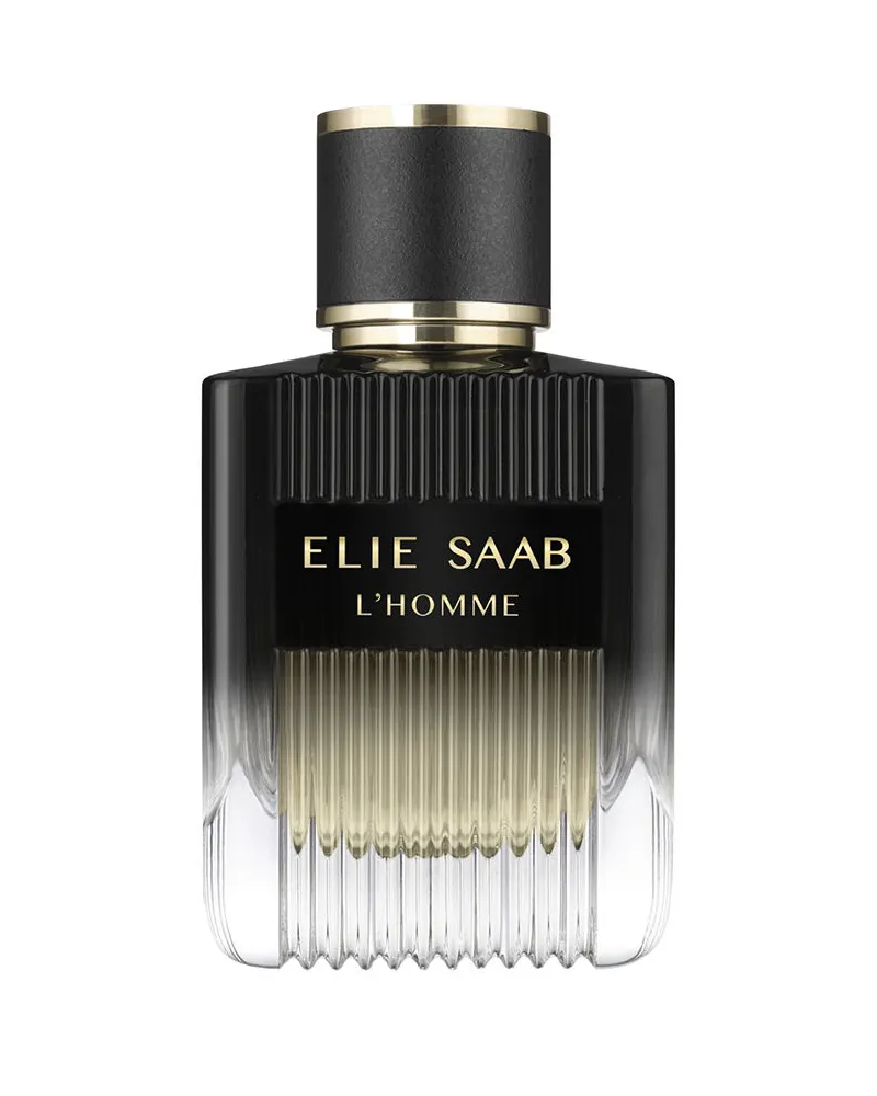Elie Saab L'homme Edp Vapo 100 ml 