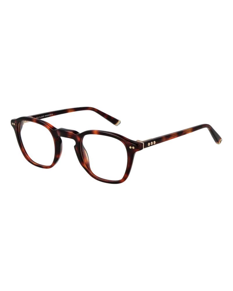 Taylor Morris Brillenfassung W4 C2 44 Braun