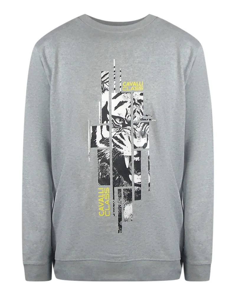 Roberto Cavalli Graues Sweatshirt Mit Zersplittertem Tiger-print Grau