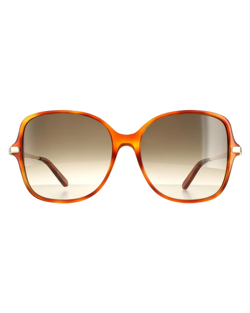 Ferragamo Square Damen Schildkröte Grau Gradient SF990SR Braun