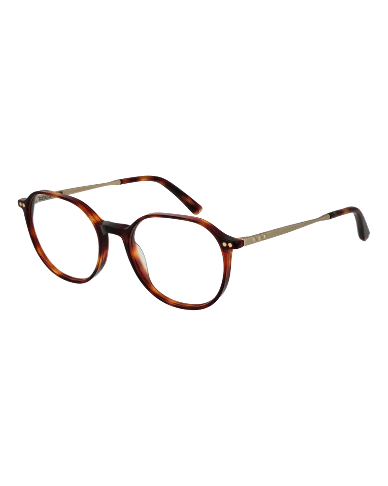 Taylor Morris Brillenfassung SW2 C2 51 Braun