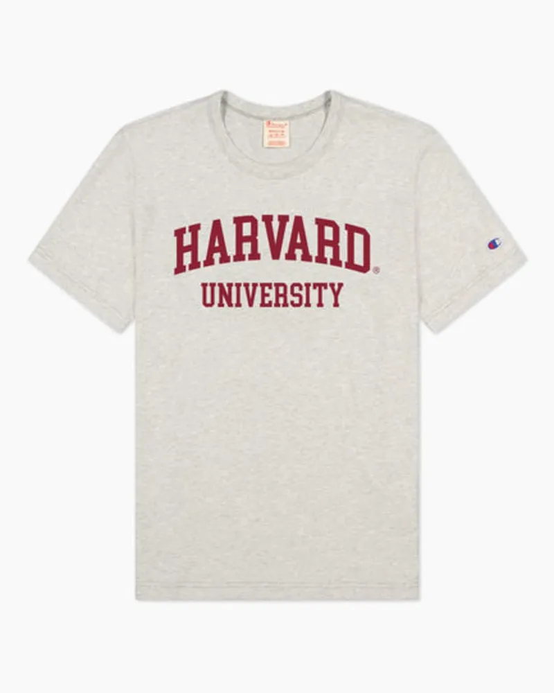 Champion Crewneck T-Shirt in Grau Grau