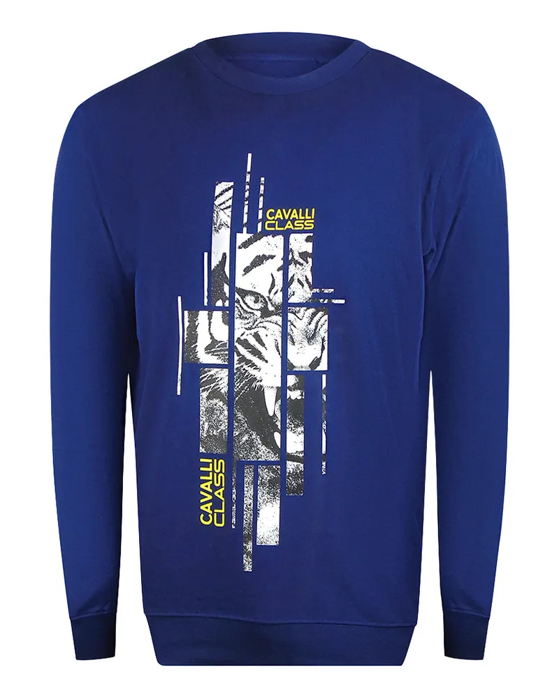 Roberto Cavalli Sweatshirt Mit Zersplittertem Tiger-print In Irisblau Blau