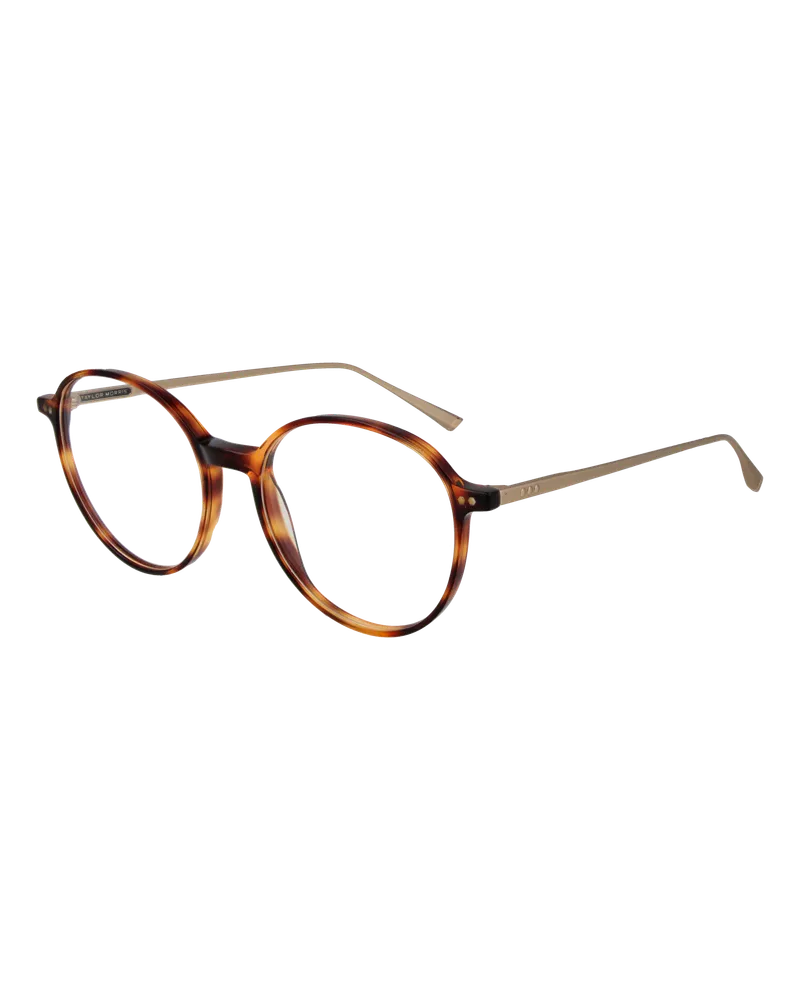 Taylor Morris Brillenfassung SW15 C2 Braun