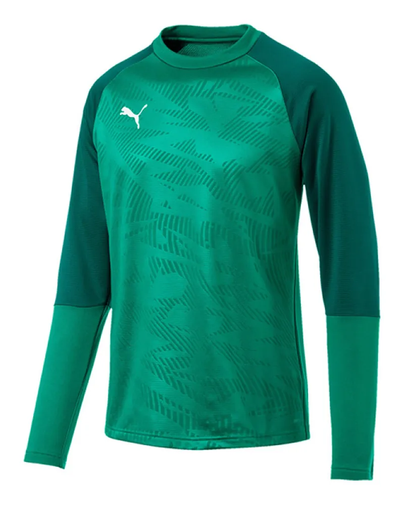 Puma CUP Herren Grünes Training Sweat Core Top Grün