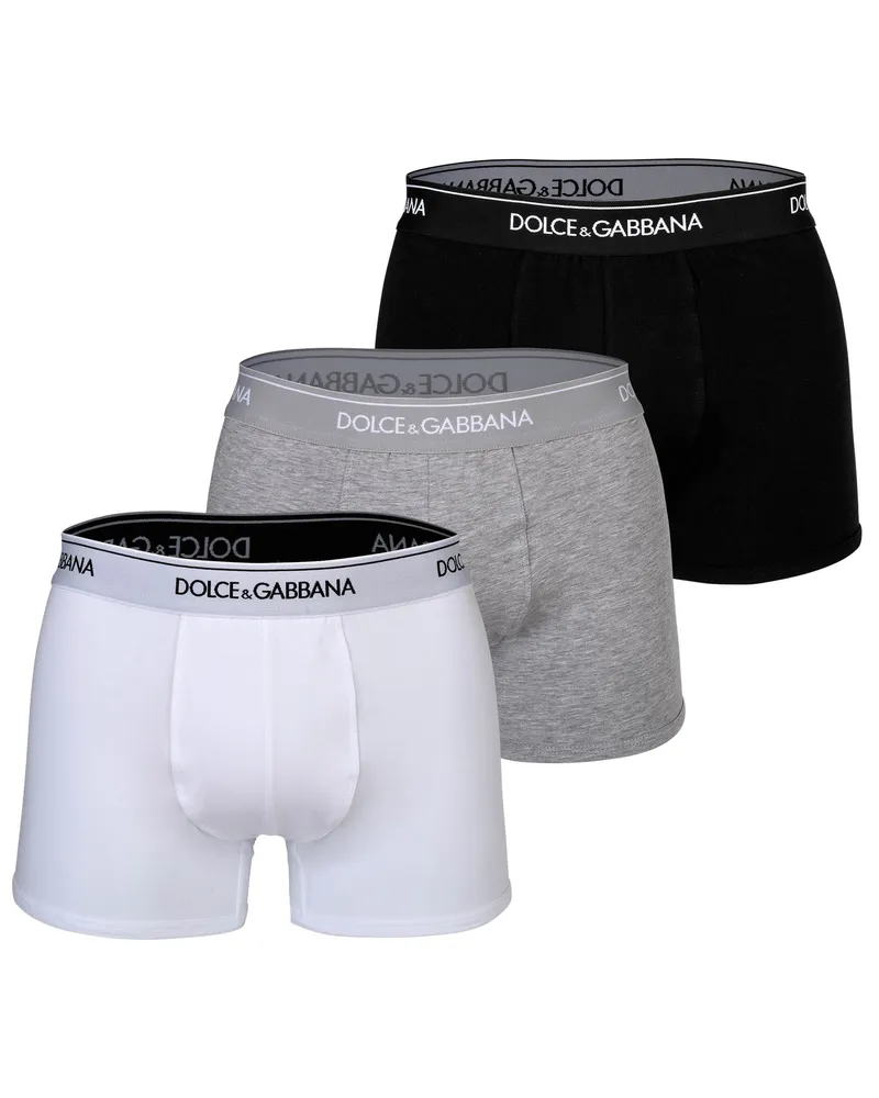 Dolce & Gabbana Regular Boxer Boxer Shorts Mehrfarbig