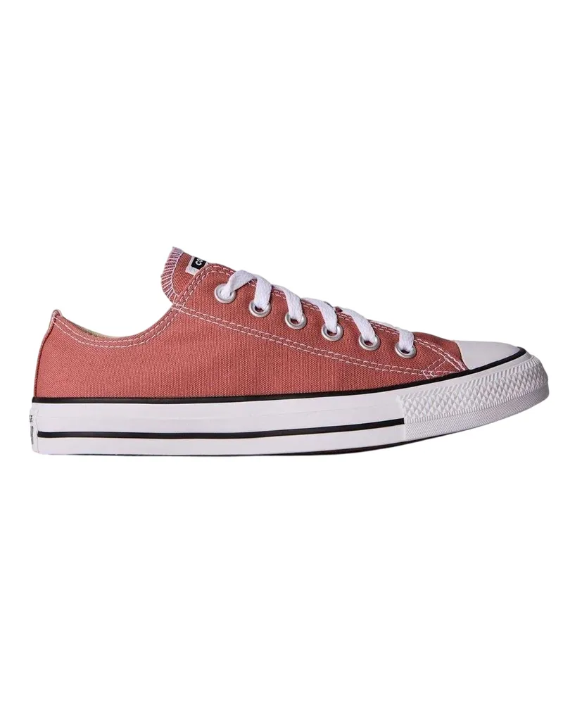 Converse Taylor All Star" Klassisch Sneaker für Herren/Damen Unisex (Sattel Braun