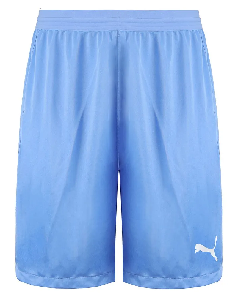 Puma Drycell Teamfinal 21 Stretch Taille Herren Hellblau Shorts 704257 18 Blau