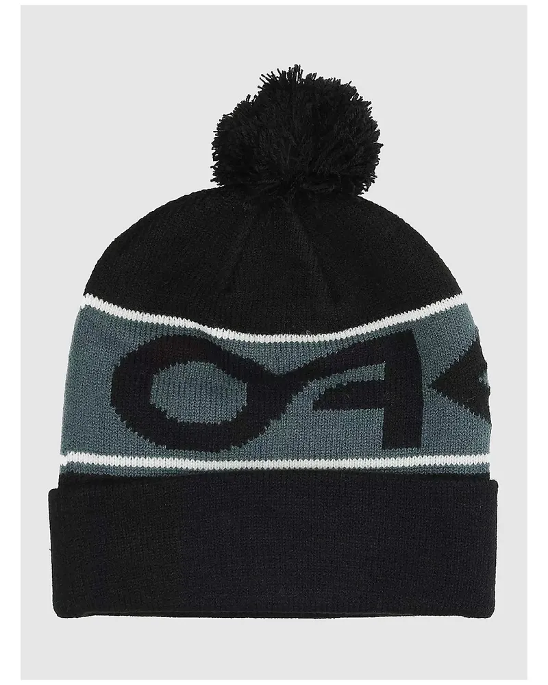 Oakley Factory Cuff Beanie Schwarz