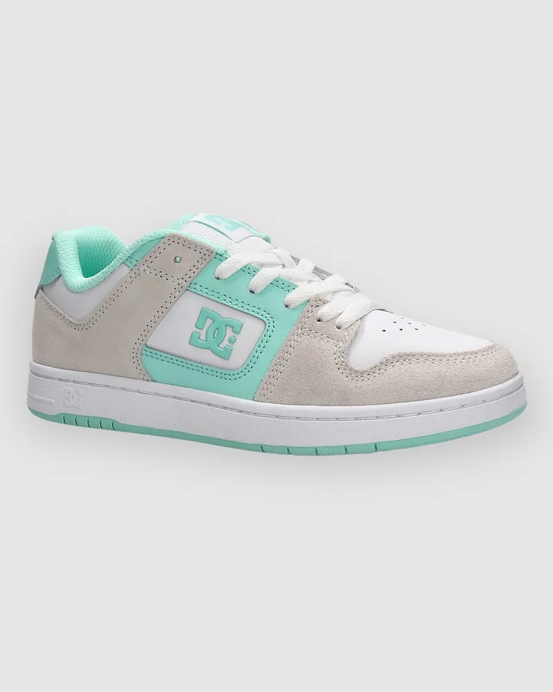 DC Shoes Manteca 4 Sneakers Grün