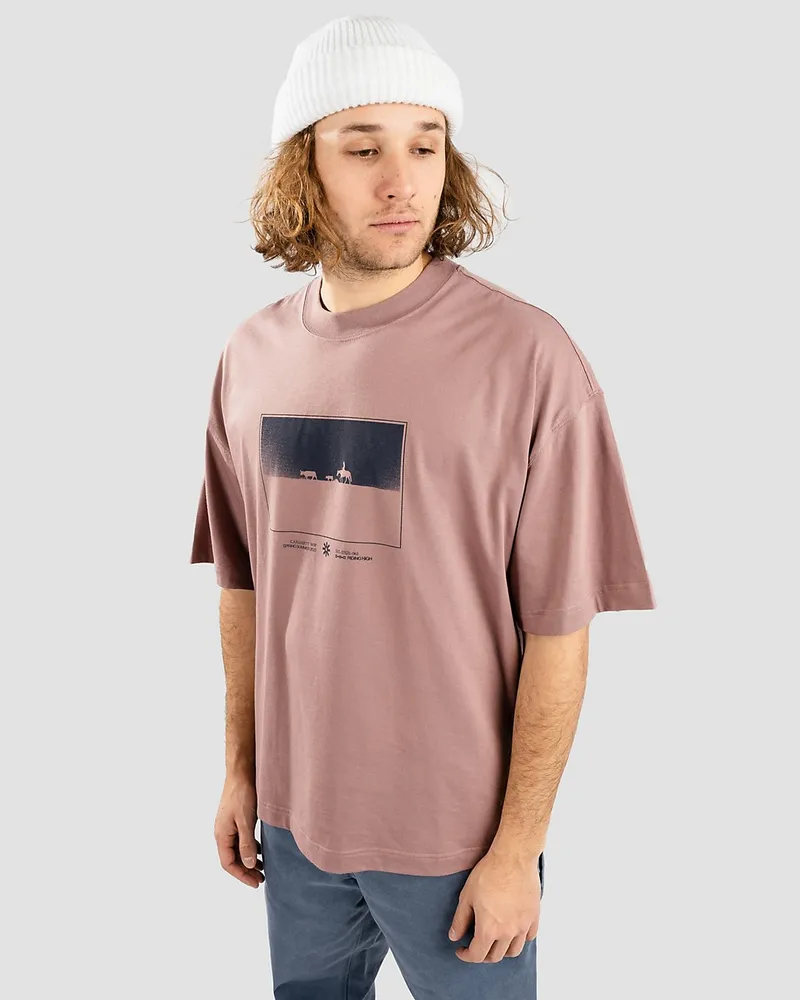 Carhartt WIP Nomads T-Shirt Rosybraun