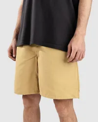 Vans Range Nylon Loose Shorts Braun