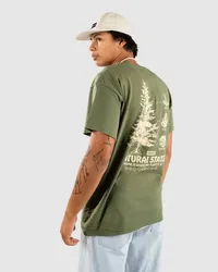 Dravus Natural State T-Shirt Grün