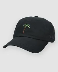 Blue Tomato Palm Tree Cap Schwarz