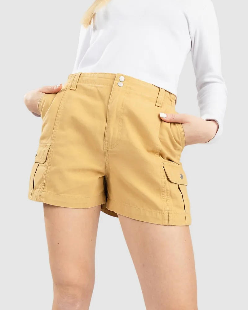 Vans Sidewalk Cargo Shorts Braun