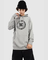 DC Shoes Corpo Raglan Ph Hoodie Grau