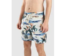 Cannonball Volley 17" Boardshorts