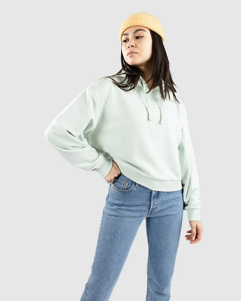 Vans Essential Ft Relaxed Po Hoodie Grün