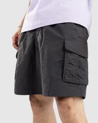 Element Chillin Cargo Hybrid Shorts Schwarz