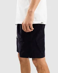 DC Shoes Abrupter Shorts Blau