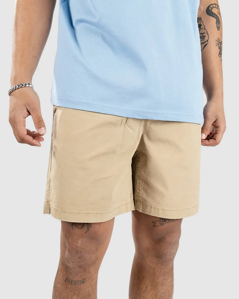 Quiksilver Taxer Shorts Braun