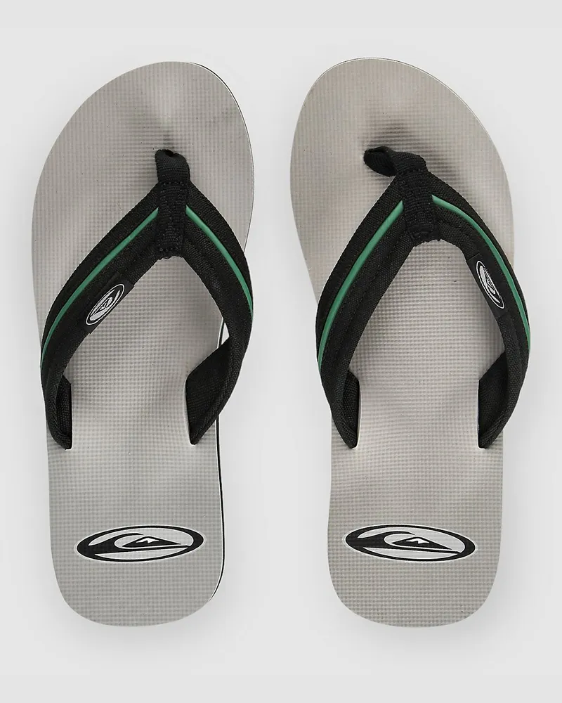 Quiksilver Molokai Layback Saturn Sandalen Grau