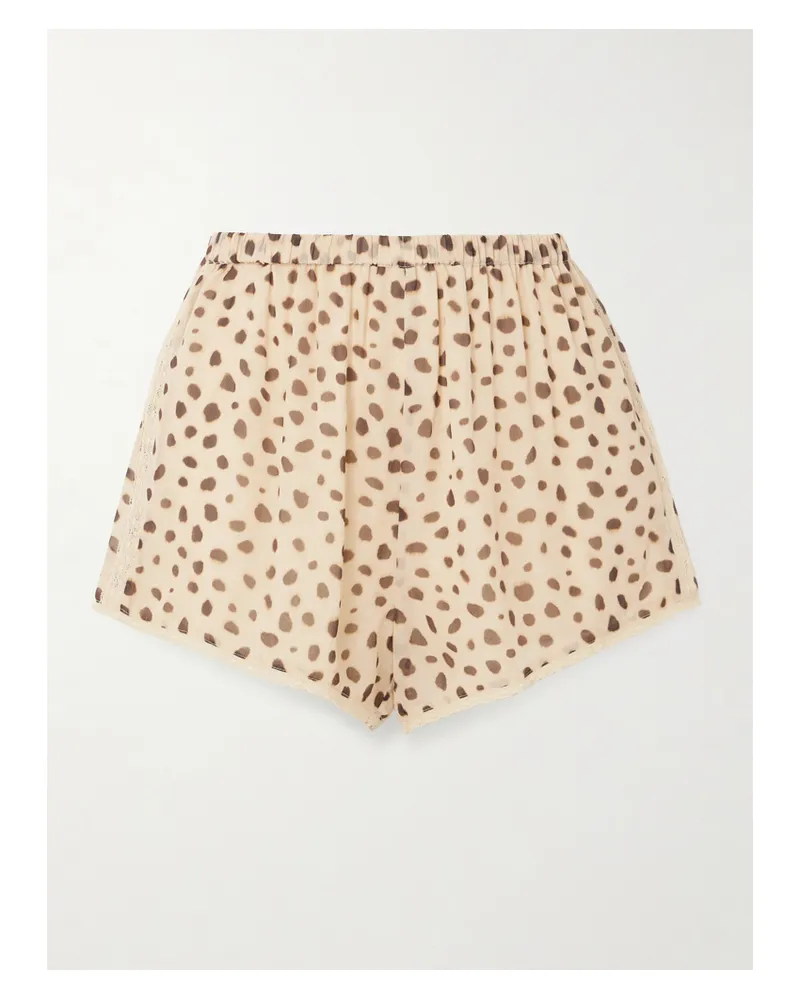 Posse Priscilla Lace-trimmed Cheetah-print Silk-georgette Shorts - Brown Brown