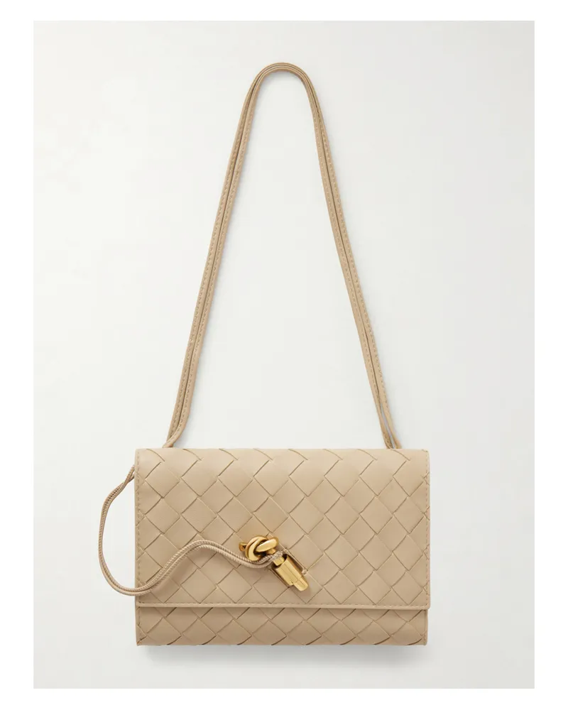 Bottega Veneta Andiamo Intrecciato Leather Pouch - Neutrals Neutrals