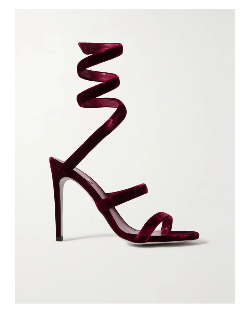 René Caovilla Cleopatra Sandalen Aus Samt - Burgunder Burgunder